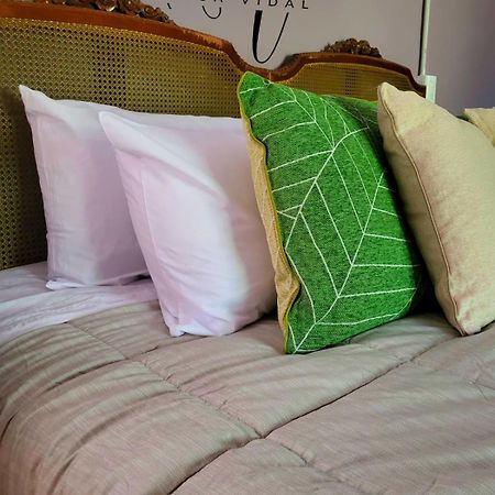 Casa Vidal Guesthouse Tupungato Eksteriør billede