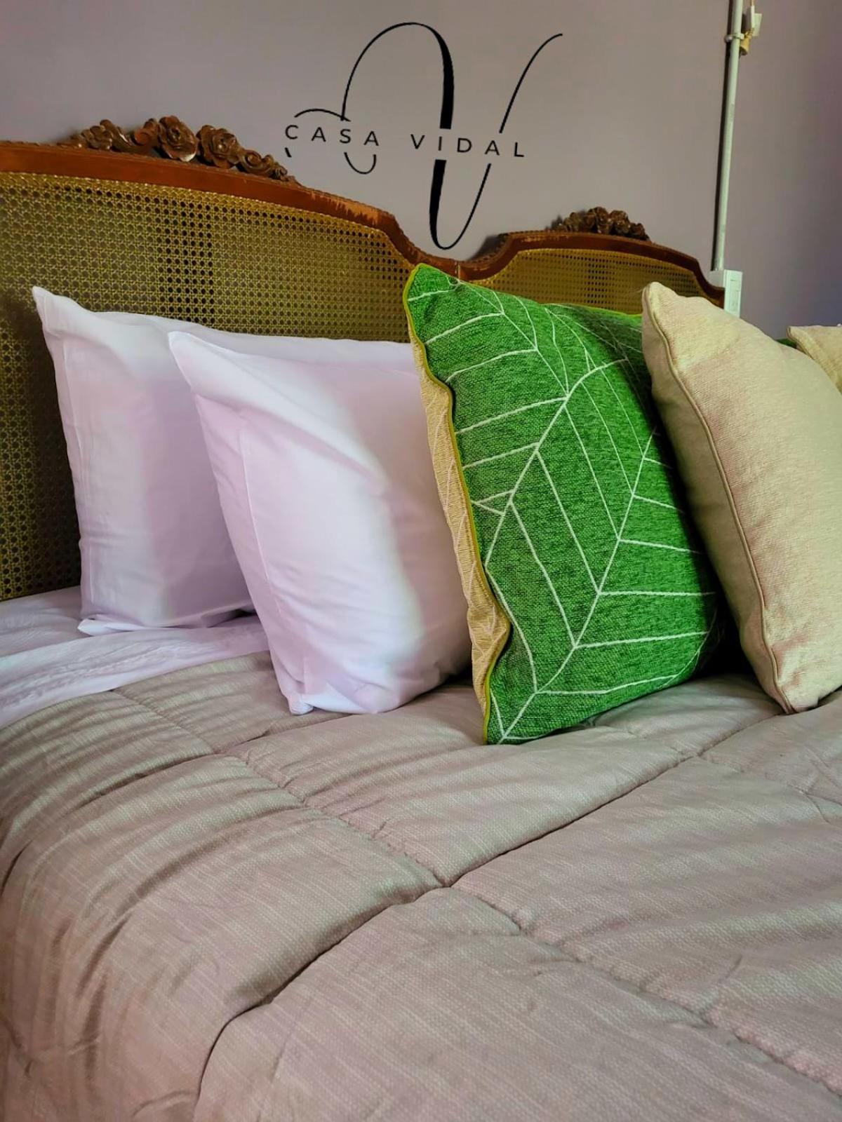 Casa Vidal Guesthouse Tupungato Eksteriør billede